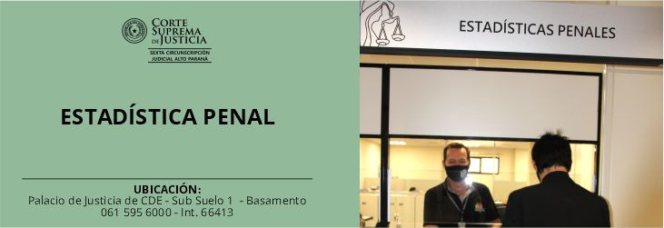 Estadística Penal Estadística Penal